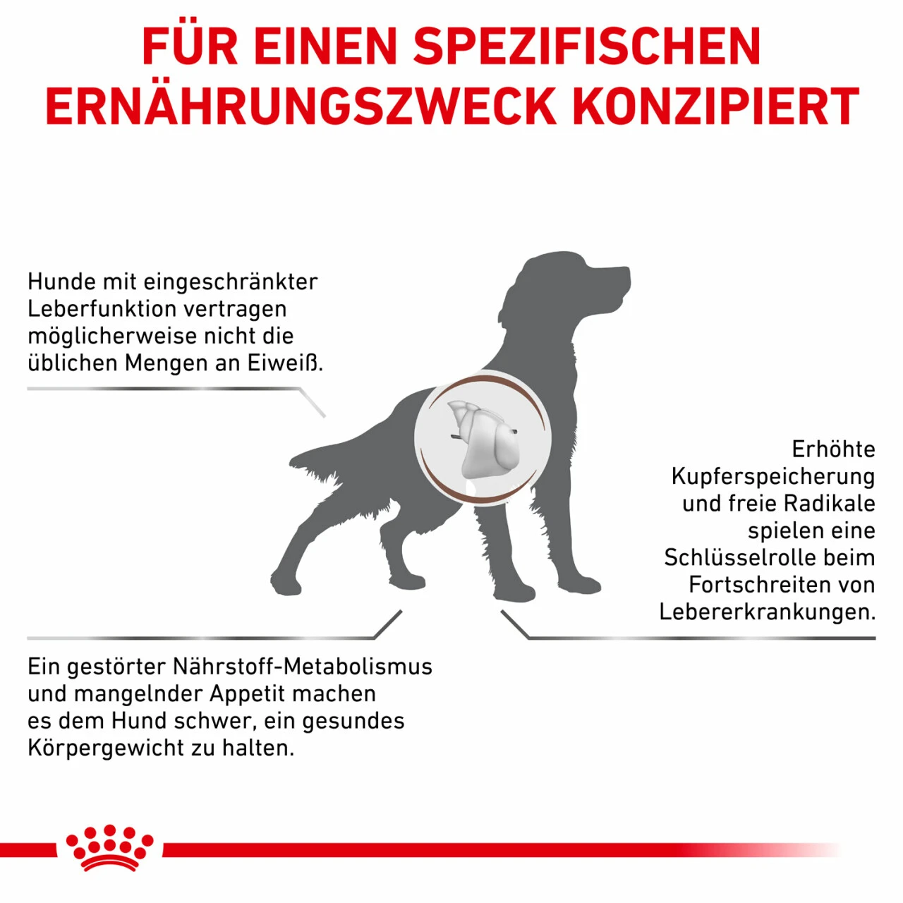 Royal Canin Hepatic Trockenfutter Für Hunde 3 Royal Canin Hepatic Trockenfutter Für Hunde – Bild 2