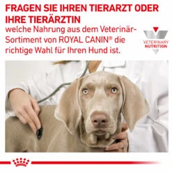 Royal Canin Hepatic Trockenfutter Für Hunde 16 Royal Canin Hepatic Trockenfutter Für Hunde -Dechra Verkaufe royal canin hepatic trocken hund8