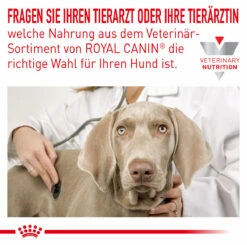 Royal Canin Hypoallergenic Moderate Calorie Trockenfutter Für Hunde -Dechra Verkaufe royal canin hypoallergenic moderate calorie hund2