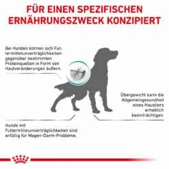 Royal Canin Hypoallergenic Moderate Calorie Trockenfutter Für Hunde -Dechra Verkaufe royal canin hypoallergenic moderate calorie hund7