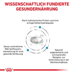 Royal Canin Hypoallergenic Puppy Trockenfutter Für Hunde 11 Royal Canin Hypoallergenic Puppy Trockenfutter Für Hunde -Dechra Verkaufe royal canin hypoallergenic puppy trockenfutter hund3