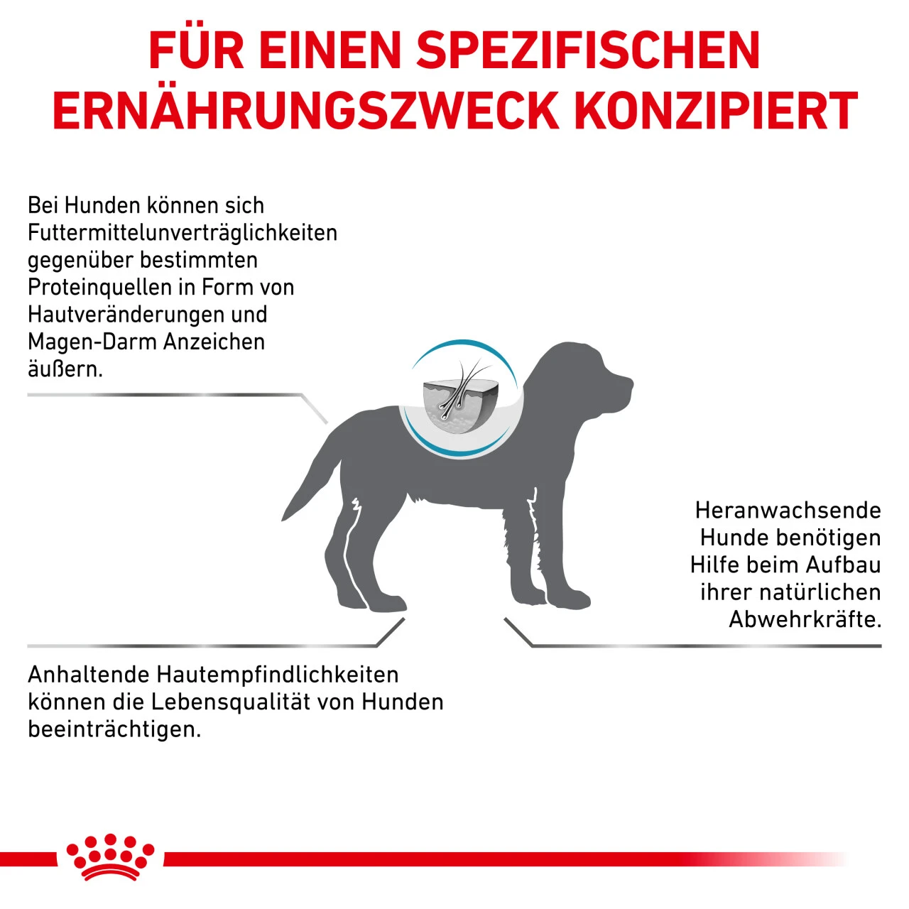 Royal Canin Hypoallergenic Puppy Trockenfutter Für Hunde 6 Royal Canin Hypoallergenic Puppy Trockenfutter Für Hunde – Bild 4