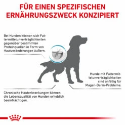Royal Canin Hypoallergenic Trockenfutter Für Hunde -Dechra Verkaufe royal canin hypoallergenic trocken hund8