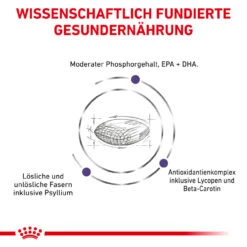 Royal Canin Expert Mature Consult Balance Trockenfutter Für Katzen -Dechra Verkaufe royal canin mature consult balance trocken katze4