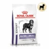 Royal Canin Expert Mature Consult Large Dogs Trockenfutter Für Hunde -Dechra Verkaufe royal canin mature consult large dogs hund