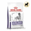 Royal Canin Expert Mature Consult Medium Dogs Trockenfutter Für Hunde -Dechra Verkaufe royal canin mature consult medium dogs hund