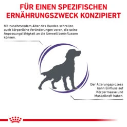 Royal Canin Expert Mature Consult Medium Dogs Trockenfutter Für Hunde 13 Royal Canin Expert Mature Consult Medium Dogs Trockenfutter Für Hunde -Dechra Verkaufe royal canin mature consult medium dogs hund3