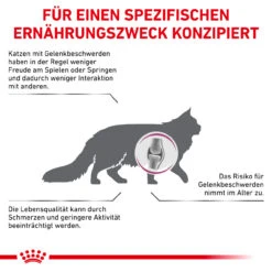 Royal Canin Mobility Trockenfutter Für Katzen 14 Royal Canin Mobility Trockenfutter Für Katzen -Dechra Verkaufe royal canin mobility katze5