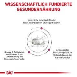 Royal Canin Mobility Trockenfutter Für Katzen 15 Royal Canin Mobility Trockenfutter Für Katzen -Dechra Verkaufe royal canin mobility katze6