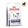 Royal Canin Expert Neutered Adult Small Dogs Trockenfutter Für Hunde -Dechra Verkaufe royal canin neutered adult small dogs hund
