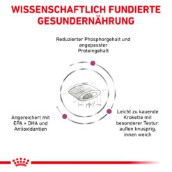 Royal Canin Renal Select Trockenfutter Katze -Dechra Verkaufe royal canin renal select katze6