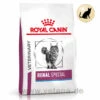 Royal Canin Renal Special Trockenfutter Für Katzen -Dechra Verkaufe royal canin renal special katze