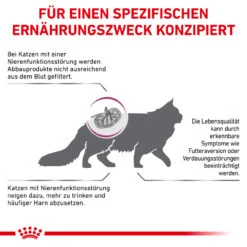 Royal Canin Renal Special Trockenfutter Für Katzen -Dechra Verkaufe royal canin renal special katze5