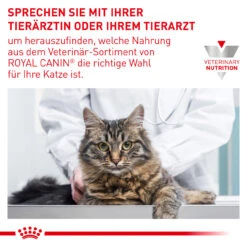 Royal Canin Renal Special Trockenfutter Für Katzen -Dechra Verkaufe royal canin renal special katze8