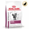 Royal Canin Renal Trockenfutter Für Katzen -Dechra Verkaufe royal canin renal trocken katze