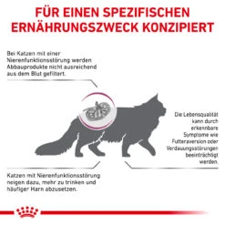 Royal Canin Renal Trockenfutter Für Katzen -Dechra Verkaufe royal canin renal trocken katze5