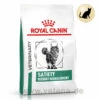 Royal Canin Satiety Weight Management Trockenfutter Für Katzen -Dechra Verkaufe royal canin satiety support weight management trocken katze
