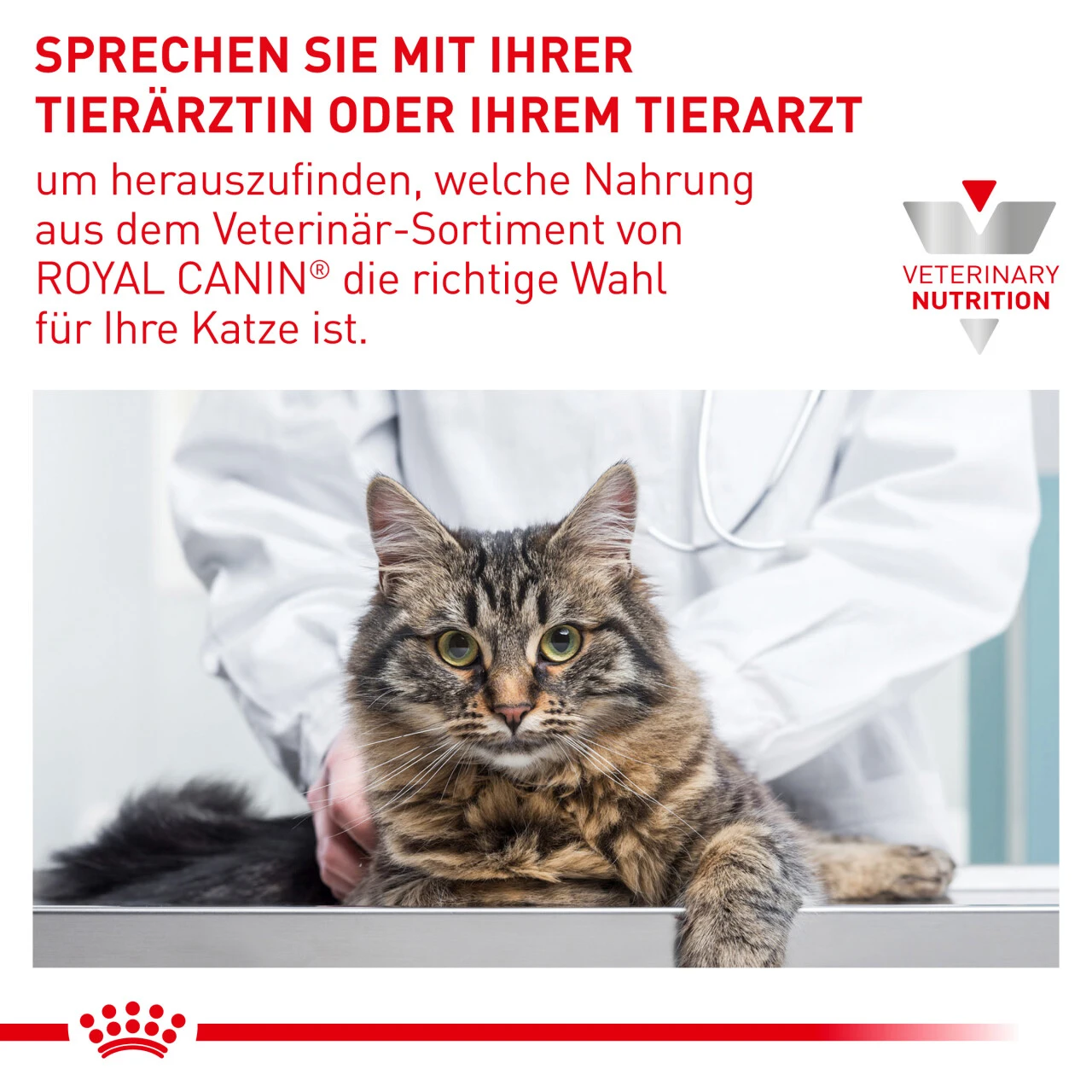 Royal Canin Satiety Weight Management Trockenfutter Für Katzen 10 Royal Canin Satiety Weight Management Trockenfutter Für Katzen – Bild 8