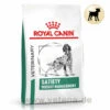 Royal Canin Satiety Weight Management Trockenfutter Für Hunde -Dechra Verkaufe royal canin satiety weight management trocken hund