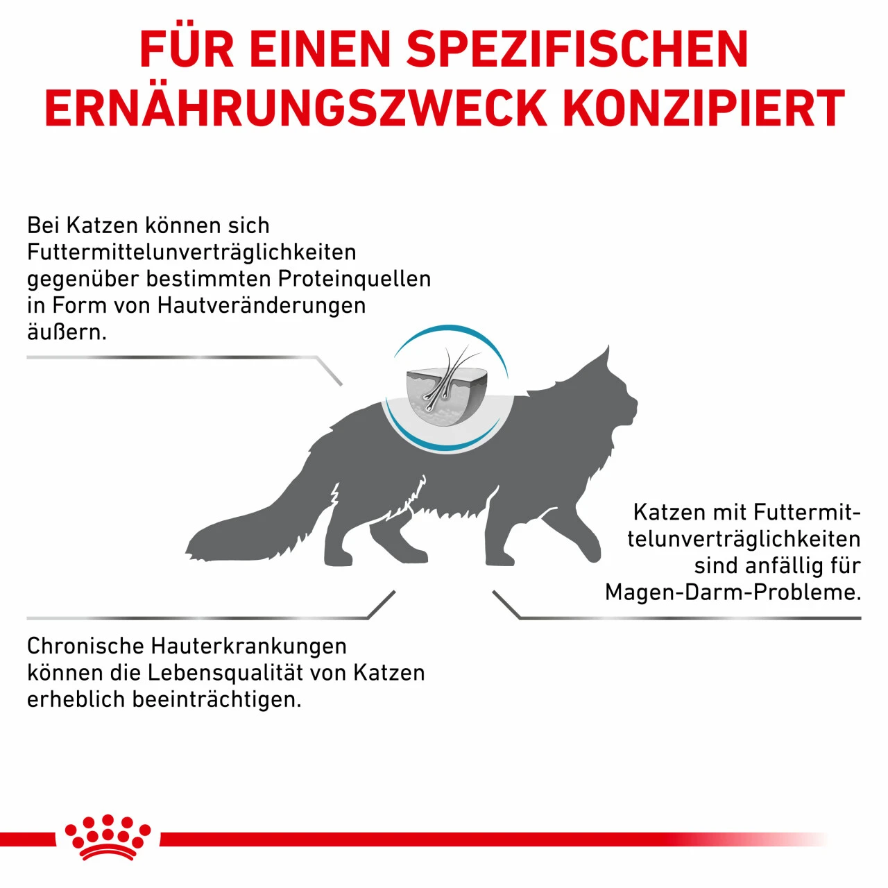 Royal Canin Sensitivity Control Trockenfutter Für Katzen 10 Royal Canin Sensitivity Control Trockenfutter Für Katzen – Bild 8