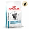 Royal Canin Skin & Coat Trockenfutter Für Katzen -Dechra Verkaufe royal canin skin coat trocken katze