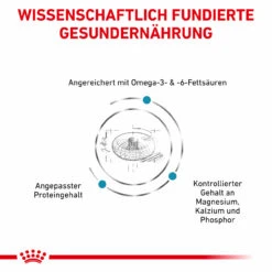 Royal Canin Skin & Coat Trockenfutter Für Katzen 12 Royal Canin Skin & Coat Trockenfutter Für Katzen -Dechra Verkaufe royal canin skin coat trocken katze3