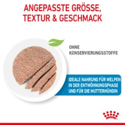 Royal Canin Starter Mousse Mother & Babydog Nassfutter Für Hunde 13 Royal Canin Starter Mousse Mother & Babydog Nassfutter Für Hunde -Dechra Verkaufe royal canin starter mousse mother babydog hund4