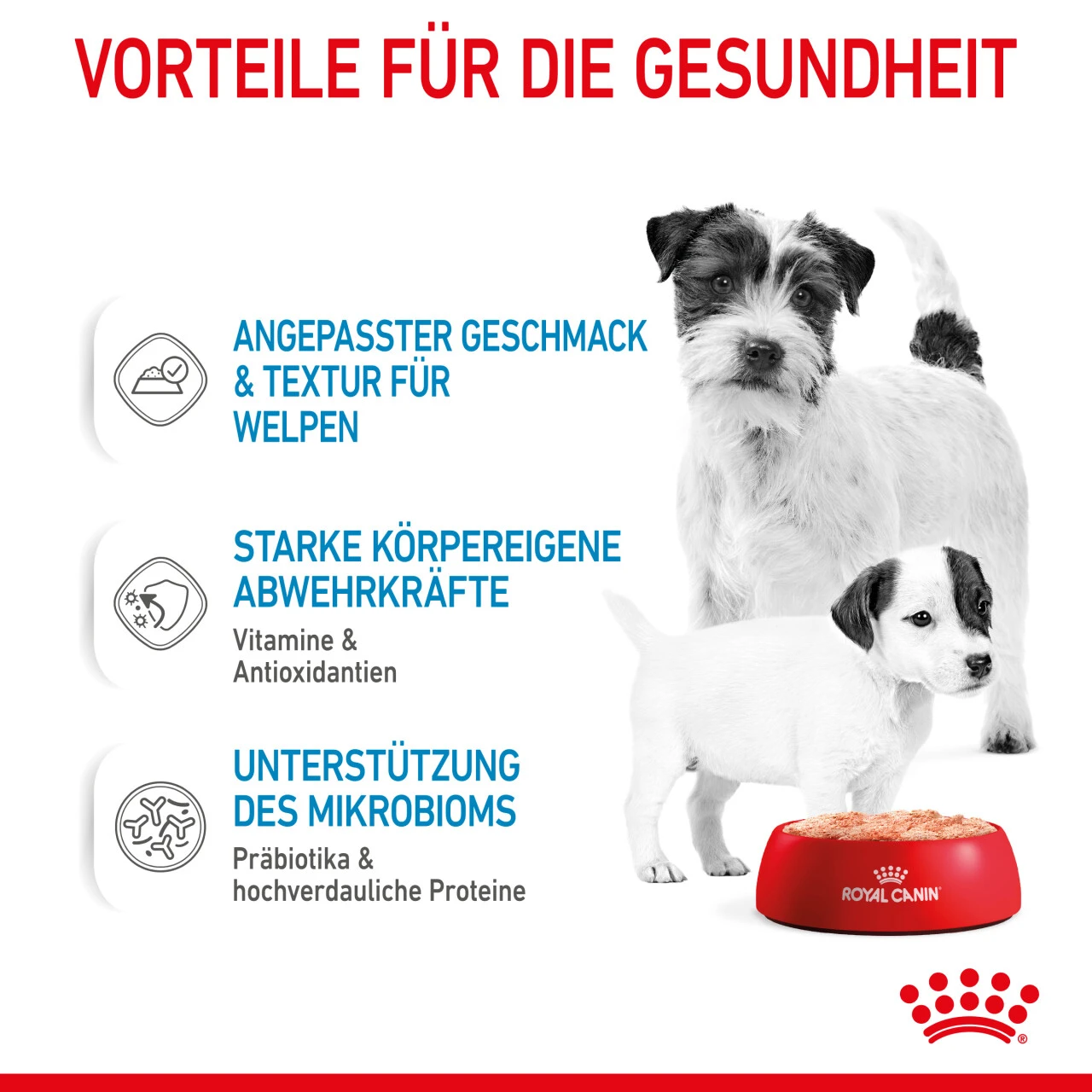 Royal Canin Starter Mousse Mother & Babydog Nassfutter Für Hunde 7 Royal Canin Starter Mousse Mother & Babydog Nassfutter Für Hunde – Bild 5