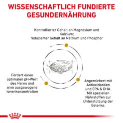 Royal Canin Urinary S/O Ageing 7+ Trockenfutter Für Hunde -Dechra Verkaufe royal canin urinary s o ageing 7 trocken hund4