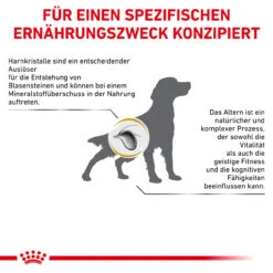 Royal Canin Urinary S/O Ageing 7+ Trockenfutter Für Hunde -Dechra Verkaufe royal canin urinary s o ageing 7 trocken hund5
