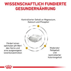 Royal Canin Urinary S/O Moderate Calorie Trockenfutter Für Hunde -Dechra Verkaufe royal canin urinary s o moderate calorie trocken hund4