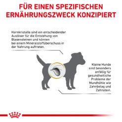 Royal Canin Urinary S/O Small Dogs Trockenfutter Für Hunde -Dechra Verkaufe royal canin urinary s o small dogs hund6