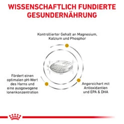 Royal Canin Urinary S/O Trockenfutter Für Hunde -Dechra Verkaufe royal canin urinary s o trocken hund4