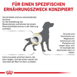 Royal Canin Urinary S/O Trockenfutter Für Hunde -Dechra Verkaufe royal canin urinary s o trocken hund6