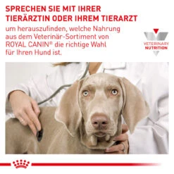 Royal Canin Urinary U/C Trockenfutter Für Hunde -Dechra Verkaufe royal canin urinary u c hund6