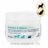 DECHRA TrizChlor 4 Wipes -Dechra Verkaufe trizchlor 4 wipes hund katze