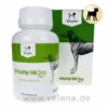 Vicano OrthoHyl HA Dog Tabs -Dechra Verkaufe vicano orthohyl ha dog tabs